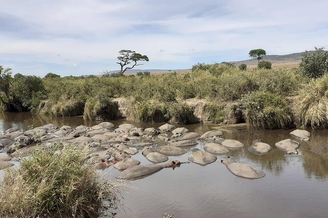 SERENGETI NATIONAL PARK Tour - Price and value: $3,487.18 per person, and what you’re really buying