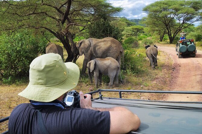 Serengeti & Ngorongoro fly in safari - What you can realistically expect