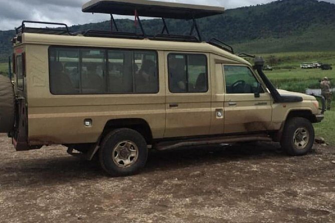 serengeti, ngorongoro & tarangire 4 days private tour - Tarangire: the start of your safari search in Tanzania