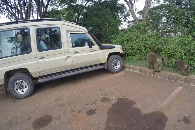 Serengeti Safari with Sirikwa Travel - Why This Serengeti Safari Works So Well From Moshi