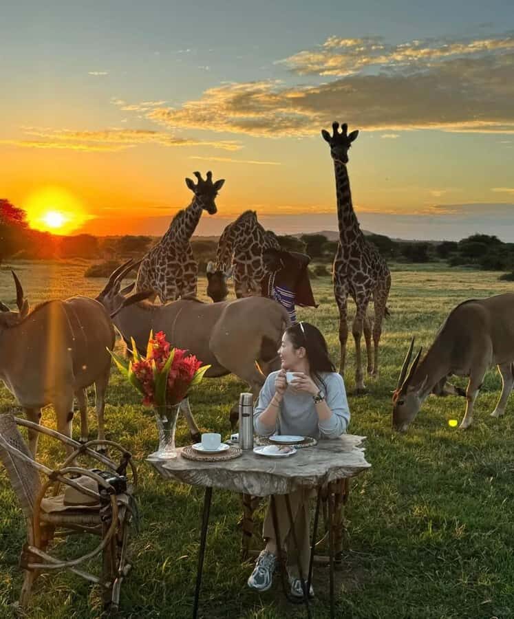 SERVAL WILDLIFE DAY - TOUR FROM ARUSHA, MOSHI OR ZANZIBAR. - Key reasons this Serval Wildlife Day feels worth your time