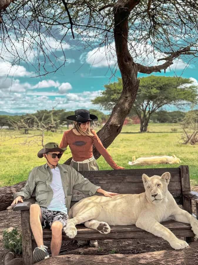 SERVAL WILDLIFE DAY - TOUR FROM ARUSHA, MOSHI OR ZANZIBAR. - The walking safari portion: how wildlife viewing works here
