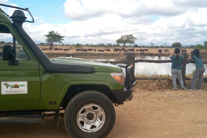 Short Safari from Dar es Salaam to Mikumi National Park - 2 Days - Who this short Mikumi safari is best for (and who should consider longer plans)