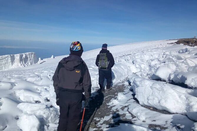 Small-group 7-day Lemosho Route Kilimanjaro Climb from Arusha - Day 5: Climb toward Barafu Camp and your South Circuit moment