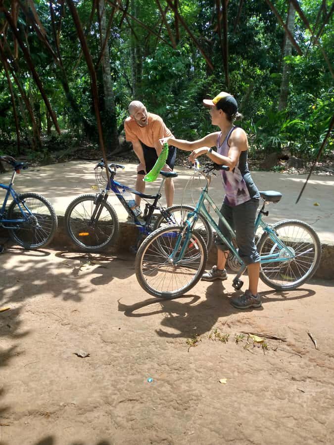 Spice Farm Bike Tour: Pedal Through Aromatic Adventures - Spice Farm Walk: Touch, Smell, and Taste How Zanzibar Grows Flavor