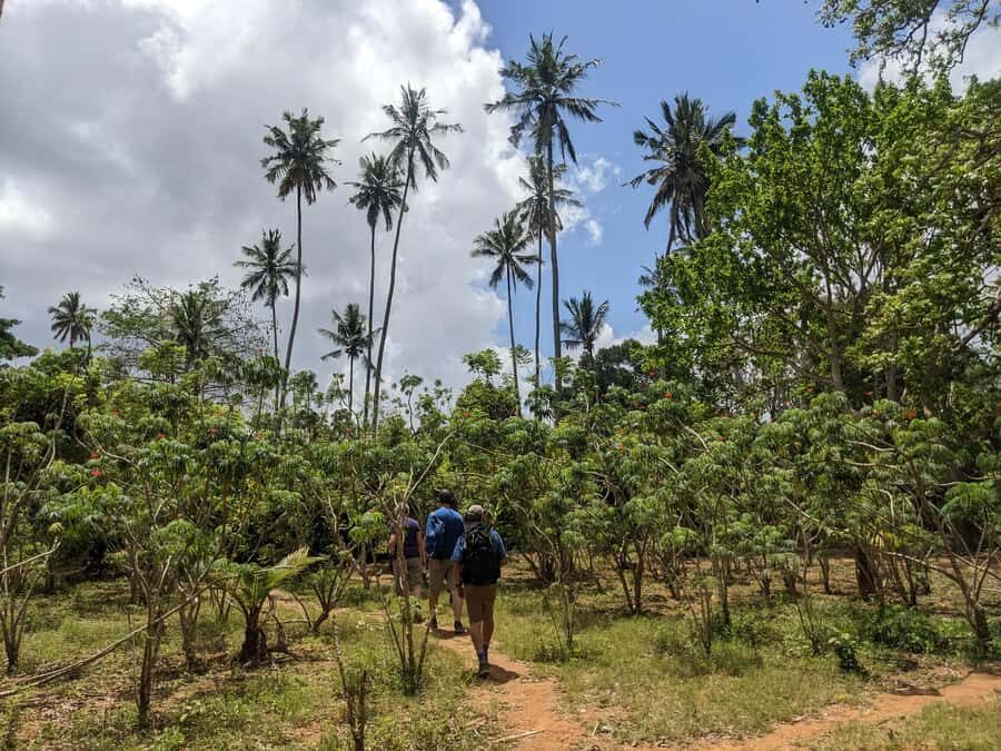 Spice Farm Bike Tour: Pedal Through Aromatic Adventures - Price and What $60 Buys You (Worth It or Not?)