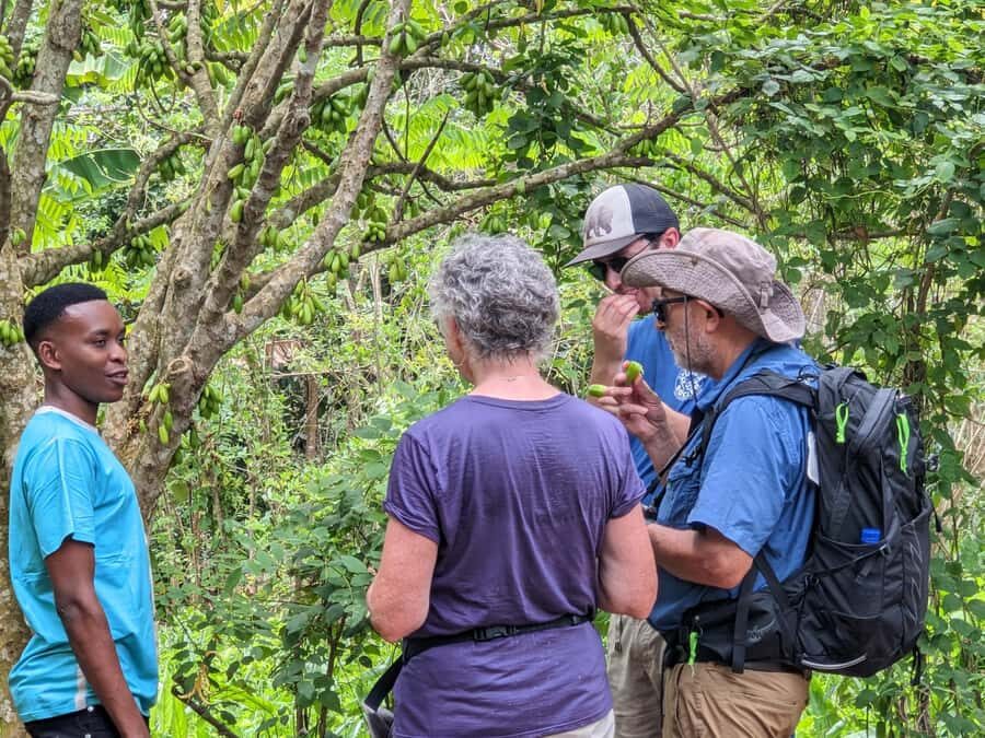 Spice Farm Bike Tour: Pedal Through Aromatic Adventures - Hitting the Streets: Pickup Options and Road Reality from Stone Town
