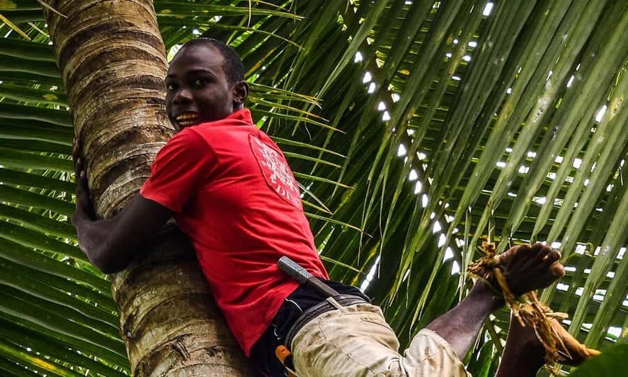 Spice Farm - spice up your life in Zanzibar - Key things to know before you go