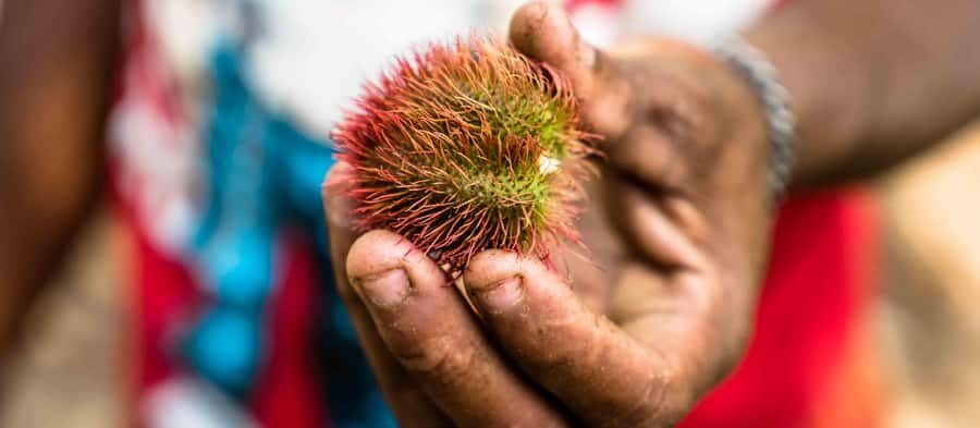 Spice Farm - spice up your life in Zanzibar - A Zanzibar Spice Farm Tour That Feels Like a Real Plantation Day