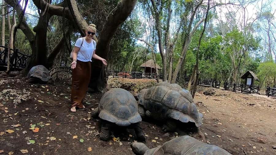 Spice farm,Stone town and Jozani forest tour with lunch - Getting there and what to bring (this is where comfort wins)