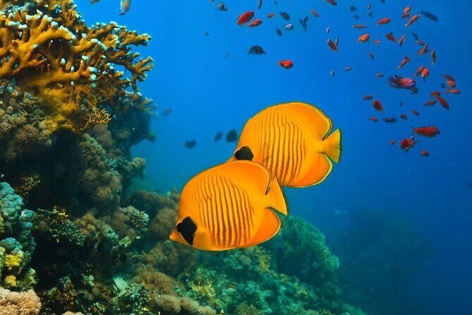 Starfish Adventure; The Rock Restaurant; Kuza Cave, Salaam Cave - Key highlights worth planning around