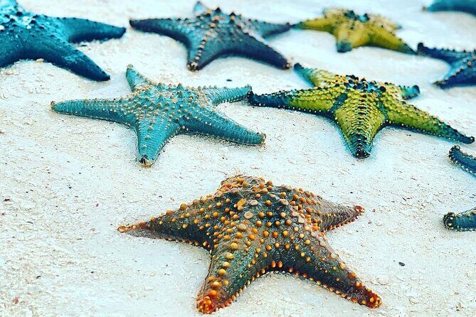 Starfish Adventure; The Rock Restaurant; Kuza Cave, Salaam Cave - Who this tour suits best (and who should think twice)
