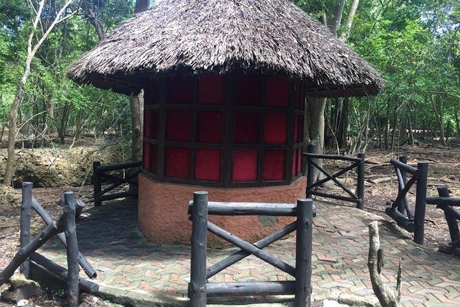 Stone Town and Prison Island Private Tour in Zanzibar - Slave chambers and the tougher side of history