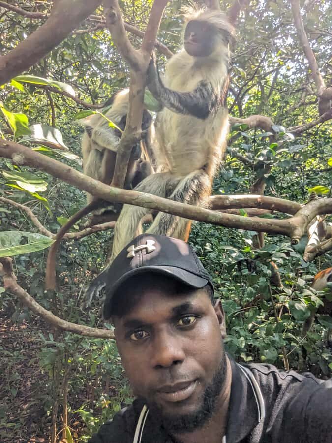 Stone Town: Jozani Chwaka Bay National Park Half-Day Tour - Red colobus monkey odds: the top priority, not the guarantee