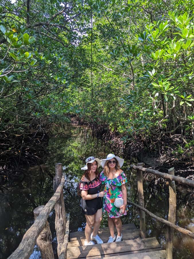 Stone Town: Jozani Chwaka Bay National Park Half-Day Tour - Trees, mangroves, and “other species” your guide will point out