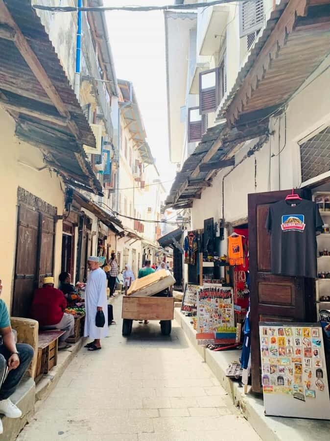 Stone town Private walking tour - Price and what $90 buys you for a private 3-hour guide