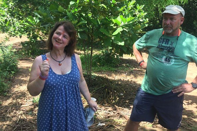Stone Town, Spice Farm and Jozani Forest Private Tour - Jozani Chwaka Bay National Park: red colobus and the best time for birds