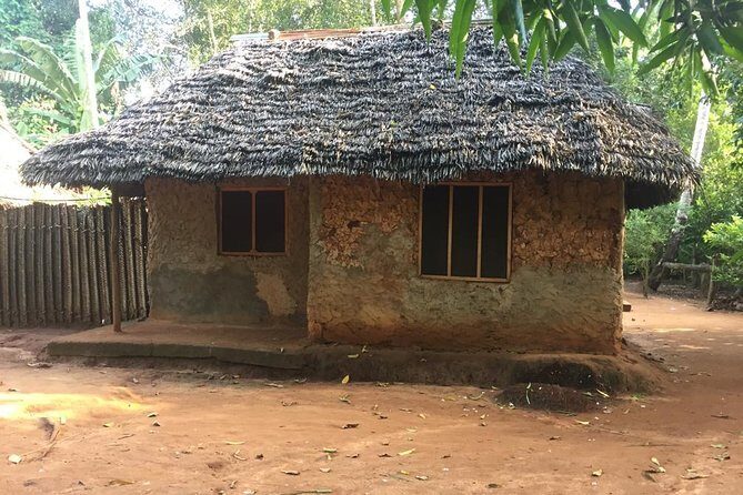 Stone Town, Spice Farm and Jozani Forest Private Tour - What the day feels like: pacing, travel time, and a rain plan
