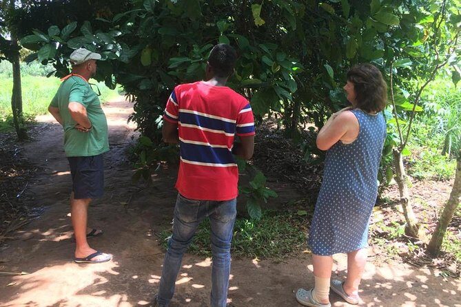 Stone Town, Spice Farm and Jozani Forest Private Tour - Best for: who will enjoy this private day most