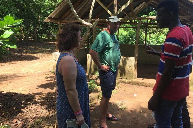 Stone Town, Spice Farm and Jozani Forest Private Tour - Potential watch-outs: entrance fees, lunch, and keeping expectations realistic