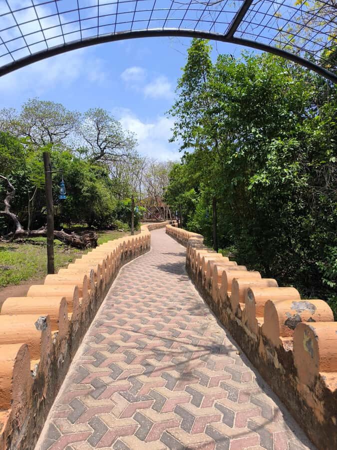 Stone town tour, Prison island and Nakupenda Sandbank - A one-day Zanzibar loop that actually makes sense