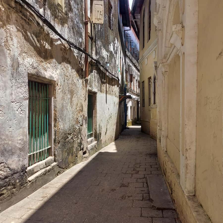 Stone town walking tour ( City tour) - Key things you’ll like