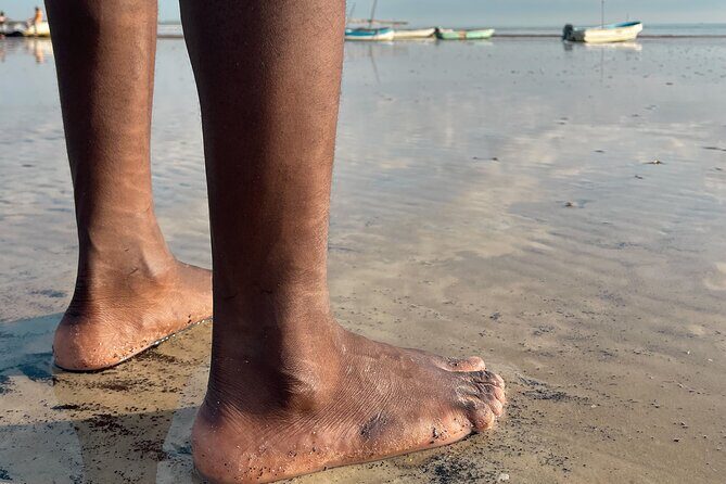 Sunrise Beach Walk with Picnic Breakfast Activity - Sunrise Photography Tips That Actually Help