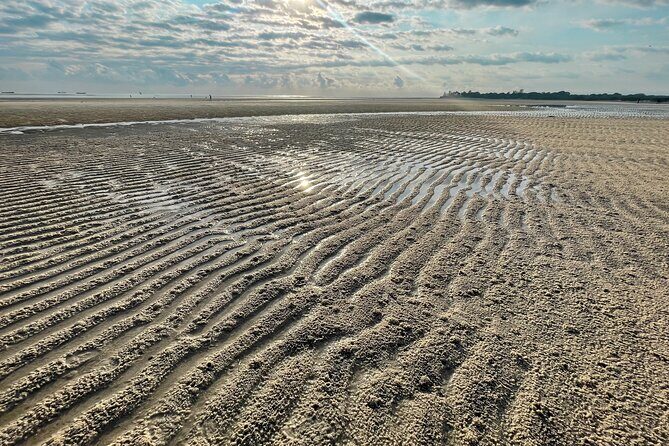 Sunrise Beach Walk with Picnic Breakfast Activity - Picnic Breakfast: Where the Value Really Shows