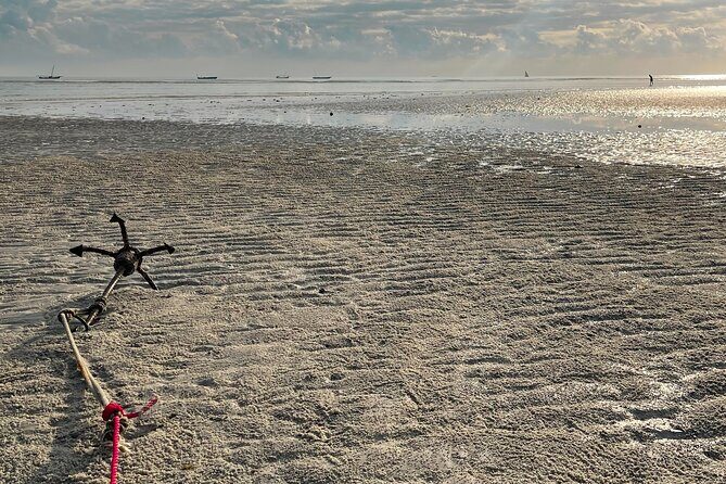 Sunrise Beach Walk with Picnic Breakfast Activity - Transportation, Duration, and What a Private Tour Changes