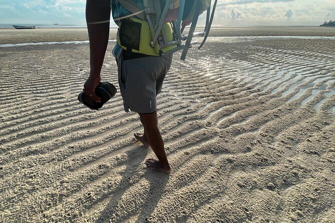 Sunrise Beach Walk with Picnic Breakfast Activity - What You’ll Need to Bring (and What’s Not Included)