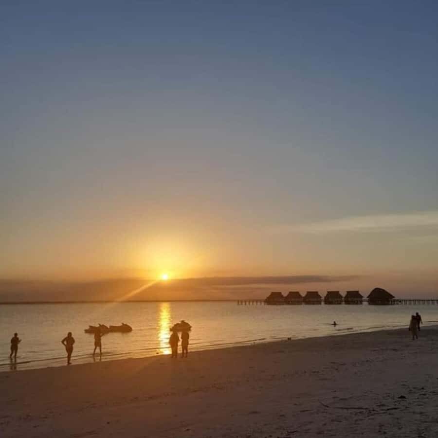 sunset dow cruise at kendwa beach - Who this cruise suits best in Zanzibar