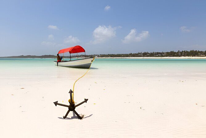 Super Zanzi Nakupenda, Prison Island & Stone Town &Lunch-Zanzibar - The value play: $42 covers a packed day, but entry fees are extra