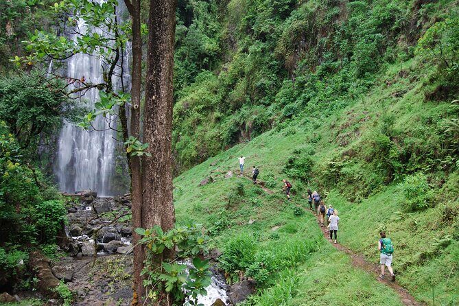 Swim to Materuni and Kikuletwa Hotspring - Key points to know before you go