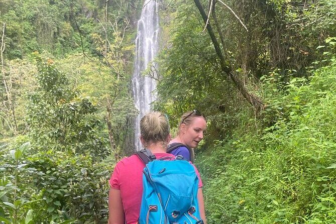 Swim to Materuni and Kikuletwa Hotspring - Getting out of Arusha: transport, timing, and what 10 hours really means