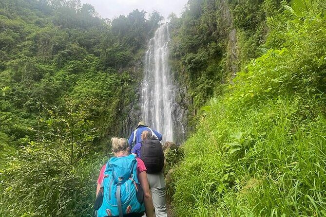 Swim to Materuni and Kikuletwa Hotspring - Who this trip is best for (and who should choose something else)