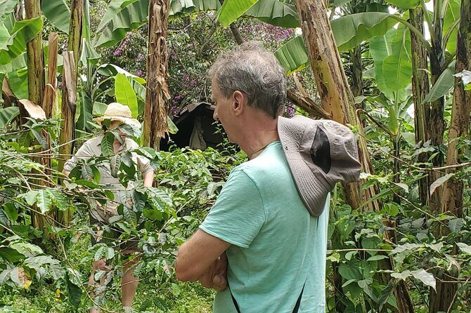 Swim to Materuni and Kikuletwa Hotspring - Materuni Village and the waterfalls: Chagga life plus a proper walk