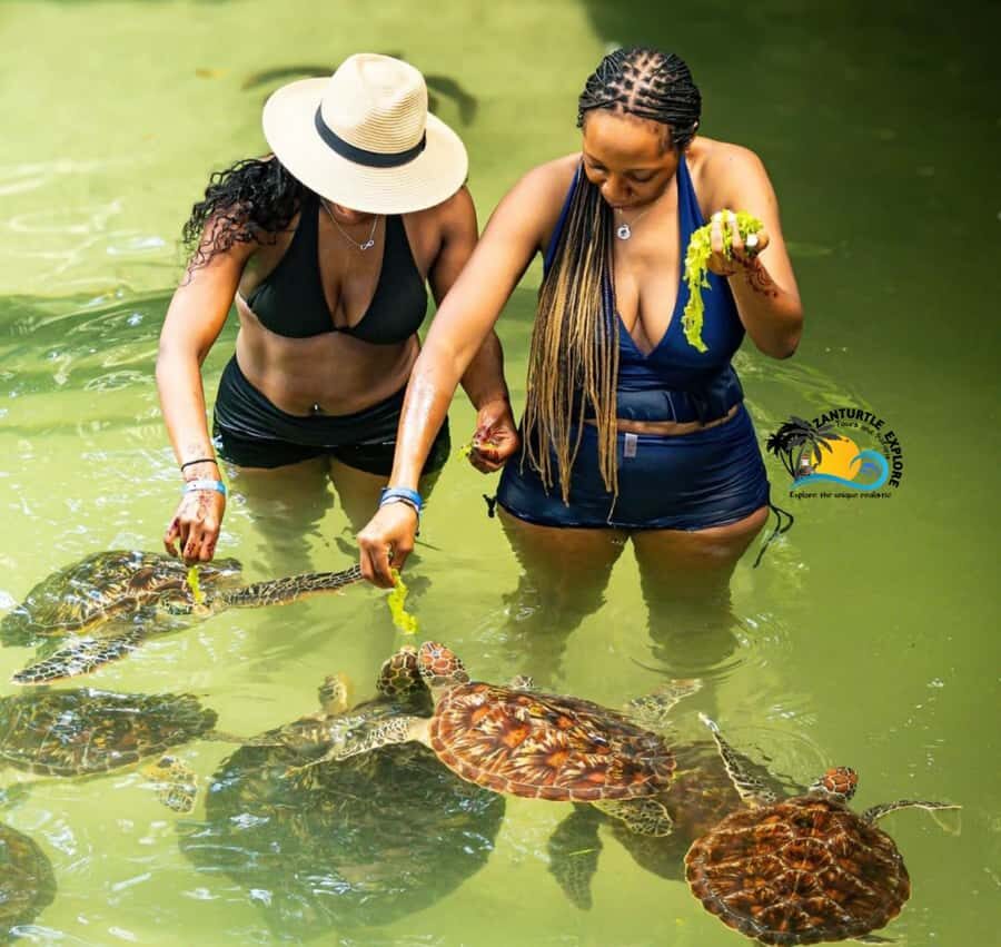 Swim with Turtles at The Lagoons Zanzibar & Stone Town Tour - The short story of the drive to Nungwi (and why pickup location changes everything)