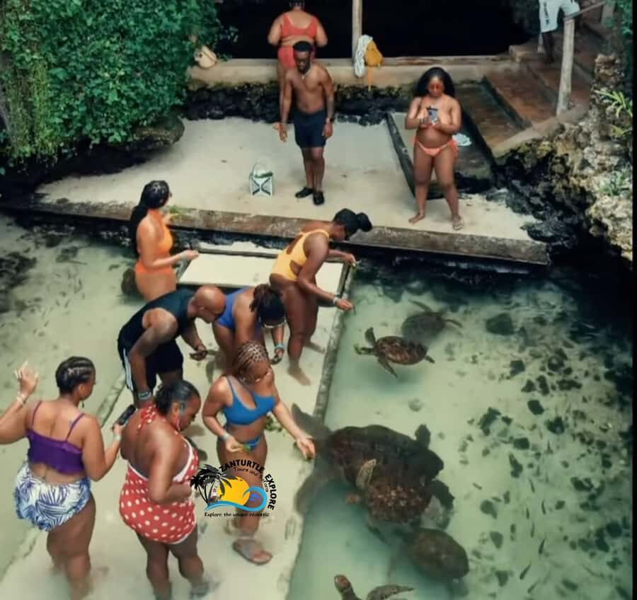 Swim with Turtles at The Lagoons Zanzibar & Stone Town Tour - Timeline, group size, and how much freedom you get