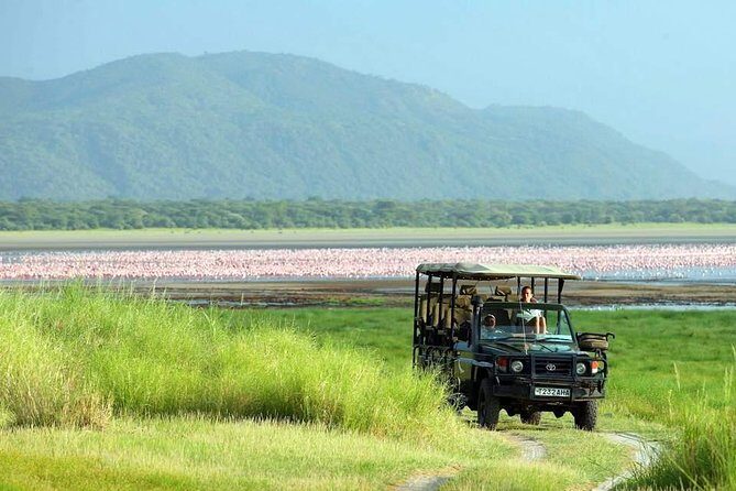 Tanzania 4 Days 3 Nights Budget camping safari to Serengeti and Ngorongoro - Getting Started in Arusha: Pickup, Timing, and That Long-but-Worth Road