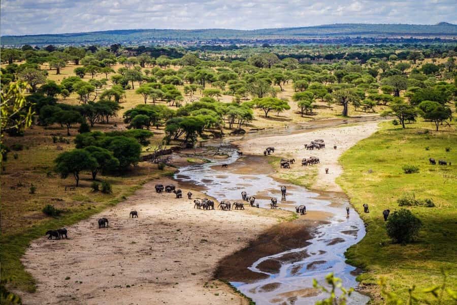 Tanzania: Big 5 Tour - Open-top safari jeeps and the rhythm of early starts