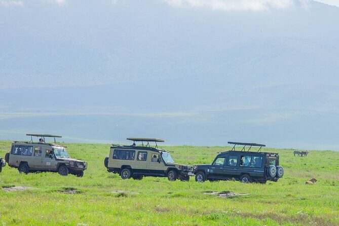 Tanzania Classic Safari 3 Days / 2 Nights - Key safari strengths you’ll feel quickly
