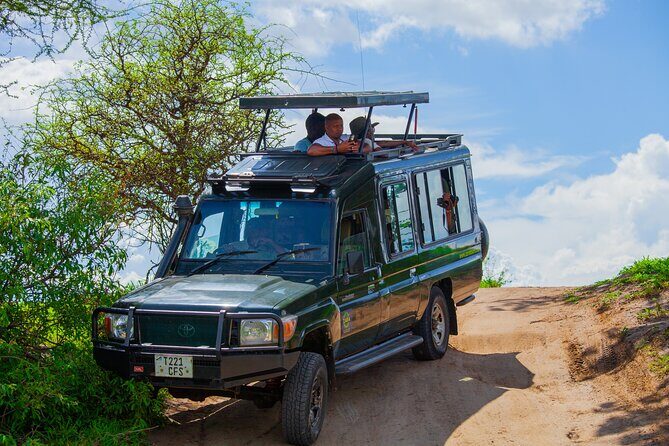 Tanzania Classic Safari 3 Days / 2 Nights - Family-friendly safari: why this works for kids