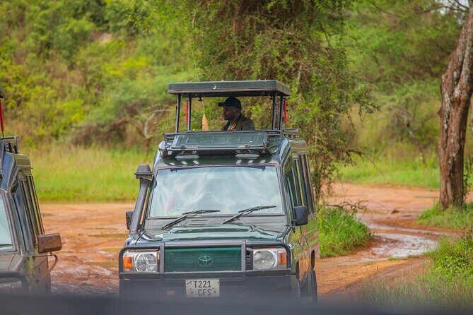 Tanzania Classic Safari 3 Days / 2 Nights - Price and what you’re really buying for $1,722.06