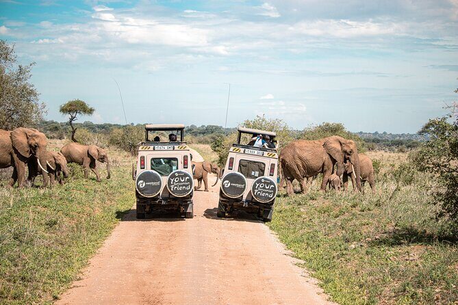Tanzania Enticing Explorations - 6 Days - Tarangire National Park: Elephant country vibes and high-density chances