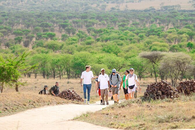 Tanzania Enticing Explorations - 6 Days - The 4x4 Toyota Cruiser setup: Why this matters for game drives