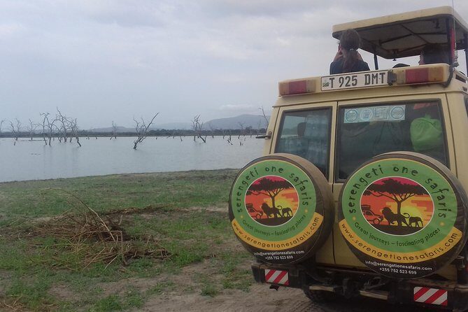 Tanzania Trip Amazing Tarangire Ngorongoro and Manyara - Price and value: what your $1,904.62 actually buys