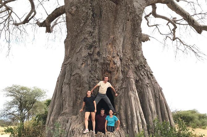 Tanzania Trip Amazing Tarangire Ngorongoro and Manyara - How long days feel on the ground (and how to handle them)