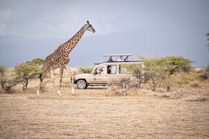 Tanzania Wildlife Encounters - 6 Days - Ngorongoro Conservation Area and the Crater: Early Morning Shows You the Difference