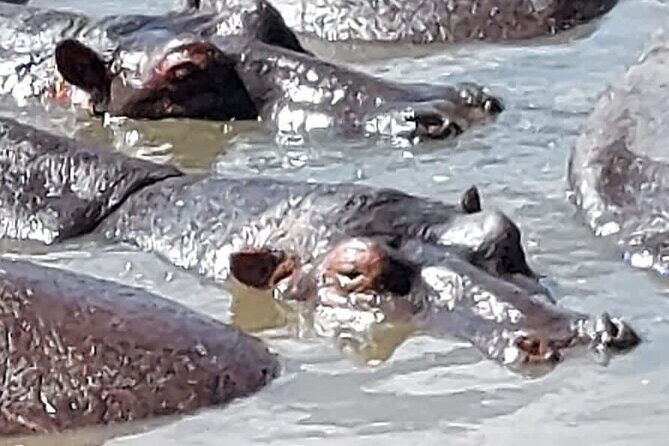 Tanzania Wildlife Safari Budget Camping - Ngorongoro Crater: One Huge Caldera for a Lot of Animals