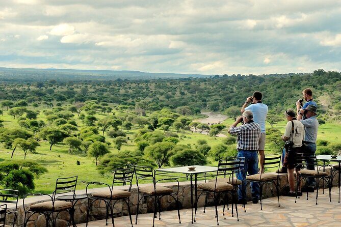 Tarangire Budget Full Day Tour from Arusha - Price and Value: Is $330 Fair for a Private Tarangire Day?